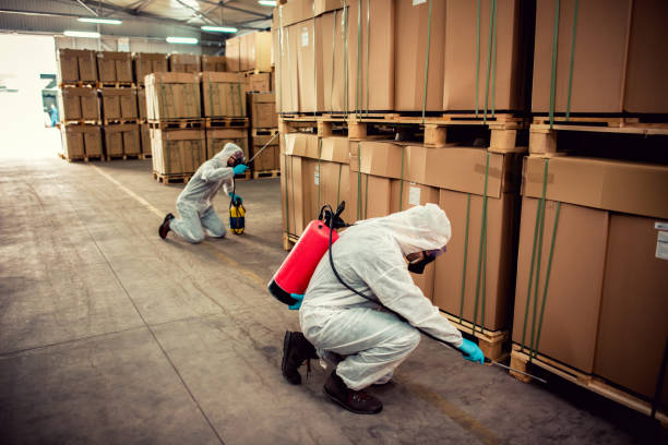 Best Bed Bug Extermination  in Springboro, OH