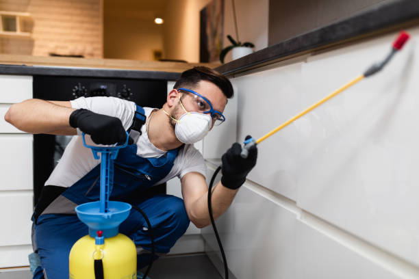 Best Rat Extermination Near Me  in Springboro, OH
