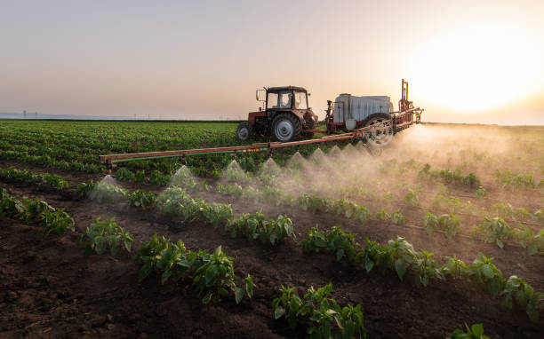 Reliable Springboro, OH Pest Control Solutions