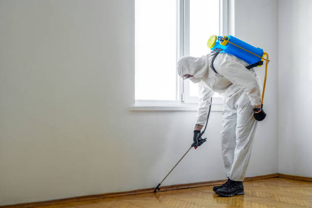 Best Exterminator Services  in Springboro, OH
